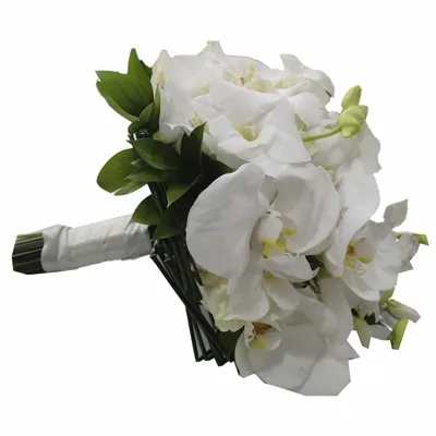 Buque Orquidea