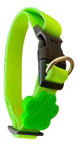 Coleira - Tamanho p - Neon Colors